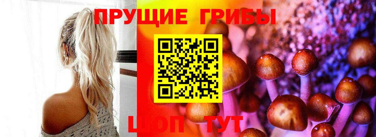 Псилоцибиновые грибы Magic Shrooms  Вход с VPN  Новошахтинск 