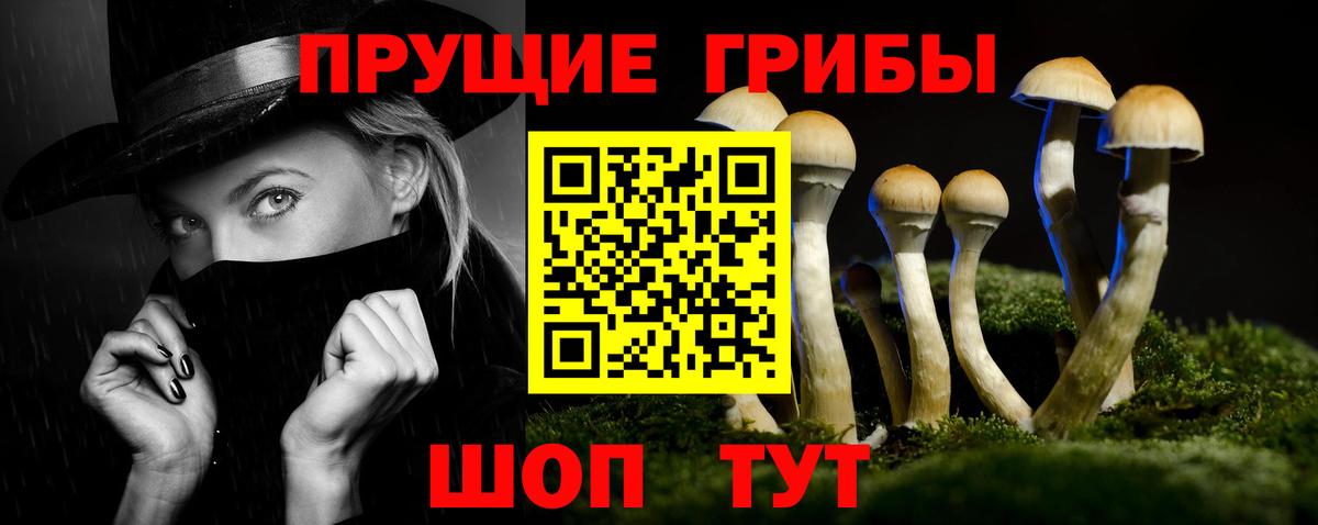 Псилоцибиновые грибы прущие грибы Новошахтинск